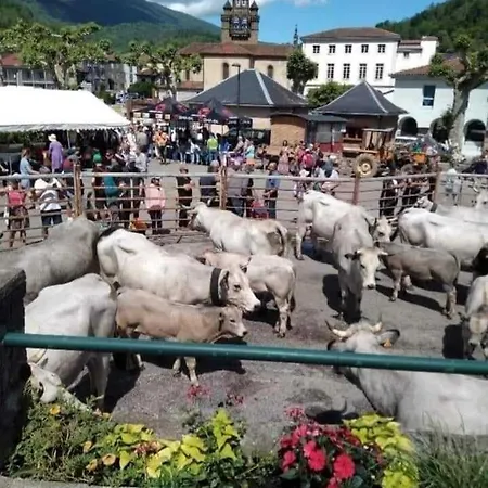 Des Iles 09 Ariege Vakantiehuis Seix